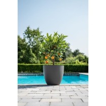 Pot de fleurs - GARDEN ID - Phoenix Anthracite - 38 x 34 cm - 100% Rec