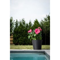 Pot de fleurs - GARDEN ID - Green Care Sense Noir-Anthracite - 40 x 34