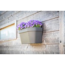 Pot mural - GARDEN ID Star - Taupe 36 x 16 cm - Réserve d'eau avec sy