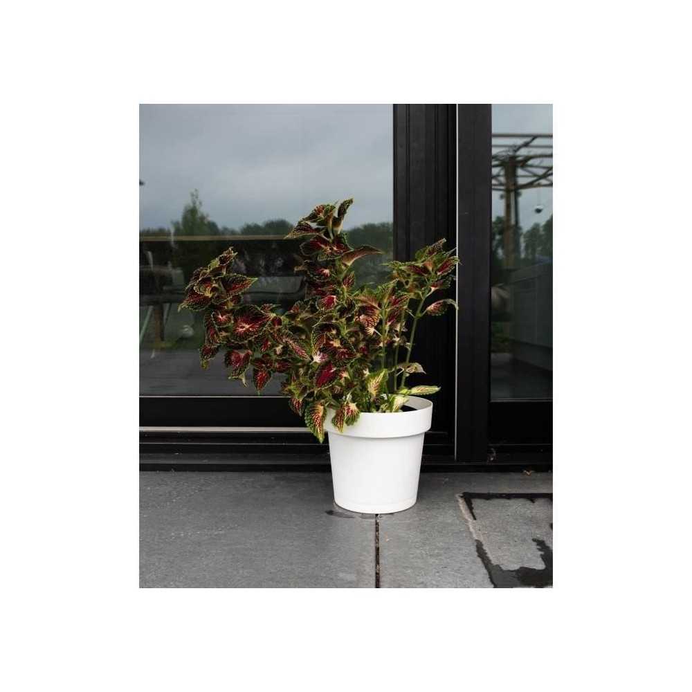 Pot a réserve d'eau - GARDEN ID Glamour - Blanc 40 cm - Surface granu