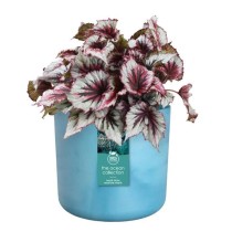 Pot de fleurs ronde ELHO The Ocean Collection - Bleu - Ø 22 x H 20 cm