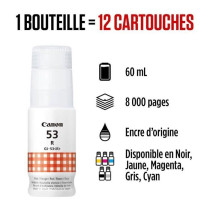 Bouteille d'encre - CANON - GI-53R - Rouge - Compatibilité PIXMA G650