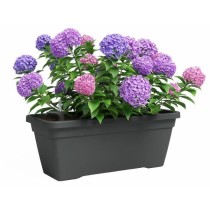 Jardiniere - Plastique - Anthracite - Rectangulaire - L57,9 x P24,3 x