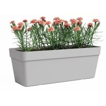 Jardiniere - Plastique - Gris clair - Rectangulaire - L49,9 x P20 x H1