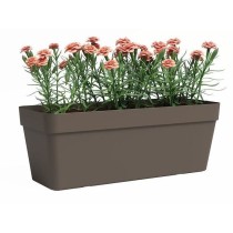 Jardiniere - Plastique - Bronze - Rectangulaire - L49,9 x P20 x H18,1c