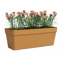 Jardiniere - Plastique - Jaune miel - Rectangulaire - L49,9 x P20 x H1