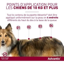 ADVANTIX Chien Solution Antiparasitaire Tres Grande Race 40 a 60kg 6 p