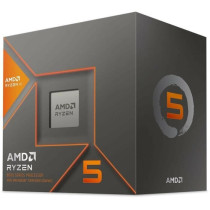 Processeur - AMD - Ryzen 5 - 8600G