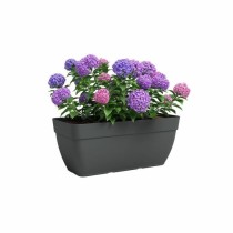 Jardiniere CAPRI CAMPANA XL - Plastique - 80 cm - Anthracite - ARTEVAS