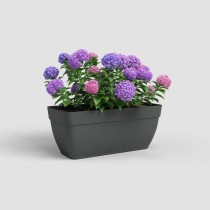 Jardiniere CAPRI CAMPANA XL - Plastique - 80 cm - Anthracite - ARTEVAS