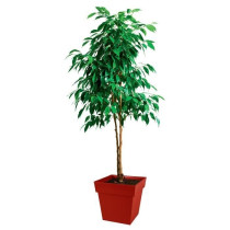 Pot de fleur carré Toscane - EDA PLASTIQUE - Rouge rubis - 38 L - 39x