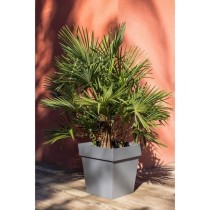 Pot carré Toscane - EDA PLASTIQUE - 50 cm - 87 L - Gris Anthracite