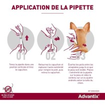 Advantix Chien Solution Antiparasitaire Grande Race 25 a 40kg 4 pipett