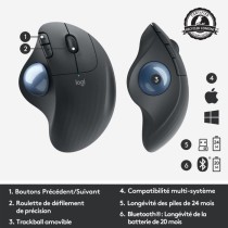 Souris ergonomique - Sans fil - Logitech - Ergo M575 - Graphite