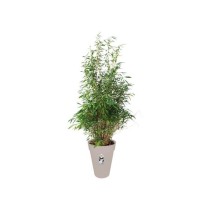 Pot de fleurs rond ELHO Loft Urban Haut 42 - Gris - Ø 42 x H 56 cm -