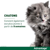 Advantage Solution Antipuce Chat Lapin 1 a 4kg 6 pipettes