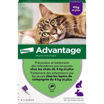 ADVANTAGE Solution Antipuce Chat Lapin +4kg 4 pipettes