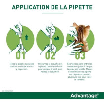 ADVANTAGE Solution Antipuce Chat Lapin +4kg 4 pipettes