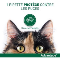 ADVANTAGE Solution Antipuce Chat Lapin +4kg 4 pipettes