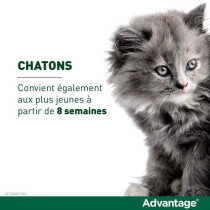 ADVANTAGE Solution Antipuce Chat Lapin +4kg 4 pipettes