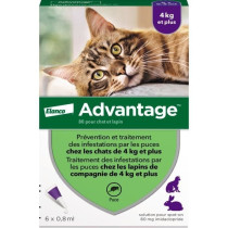 ADVANTAGE Solution Antipuce Chat Lapin +4kg 6 pipettes