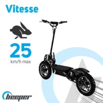 Trottinette électrique BEEPER Cross FX1000-S - 1000 W - Pliable - Bat