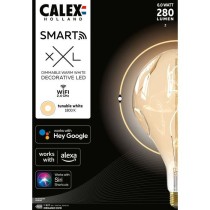 Ampoule LED E27 - CALEX - SMART ORGANIC EVO - Filament flexible - 6 W