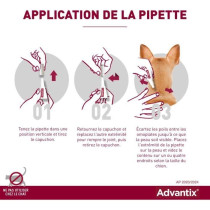 Advantix Chien Solution Antiparasitaire Puces Tiques Répulsif Mouches