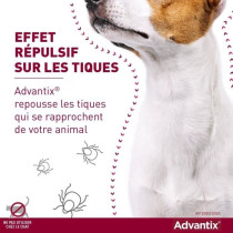 Advantix Chien Solution Antiparasitaire Puces Tiques Répulsif Mouches