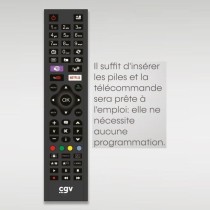 Télécommande de remplacement - CGV - FIDELIO Grundig - Pour télévi