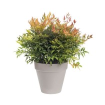 ELHO Pot de fleurs rond avec roues Loft Urban - Ø 50 cm - Gris chaud