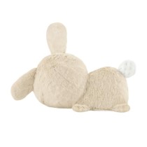 Fisher-Price-Mon Lapin Câlin - Peluche veilleuse - Jouet d'éveil - HXG97