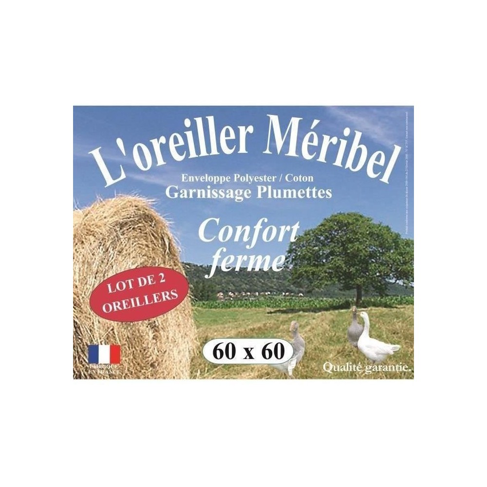 DODO Lot de 2 Oreillers MERIBEL Plumettes 60x60cm