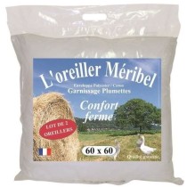 DODO Lot de 2 Oreillers MERIBEL Plumettes 60x60cm