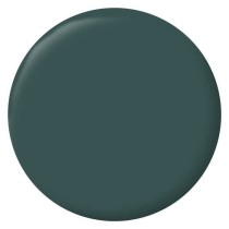 RIPOLIN Peinture Couleur Velours pour Murs, Boiseries Radiateurs - Vert Armerie