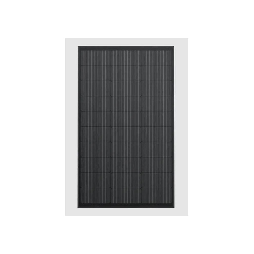 Lot de 2 panneaux solaires ECOFLOW OB03258 - 2x 100 W - Indice d'étan