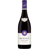 Frédéric Magnien Bourgogne Pinot Noir Elegant - Vin rouge de Bourgog