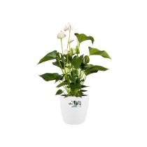 ELHO Brussels Pot de fleurs rond Roues 47 - Blanc - Ø 47 x H 44 cm -