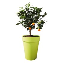 Pot de fleur Elho Plastique Rond Loft Urban Blanc Ø 34 x 45,6 cm 23 l