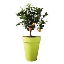 Pot de fleur Elho Plastique Rond Loft Urban Gris anthracite Ø 34 x 45