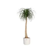 ELHO B.for Soft Pot de fleurs rond 35 - Blanc - Ø 35 x H 32 cm - int