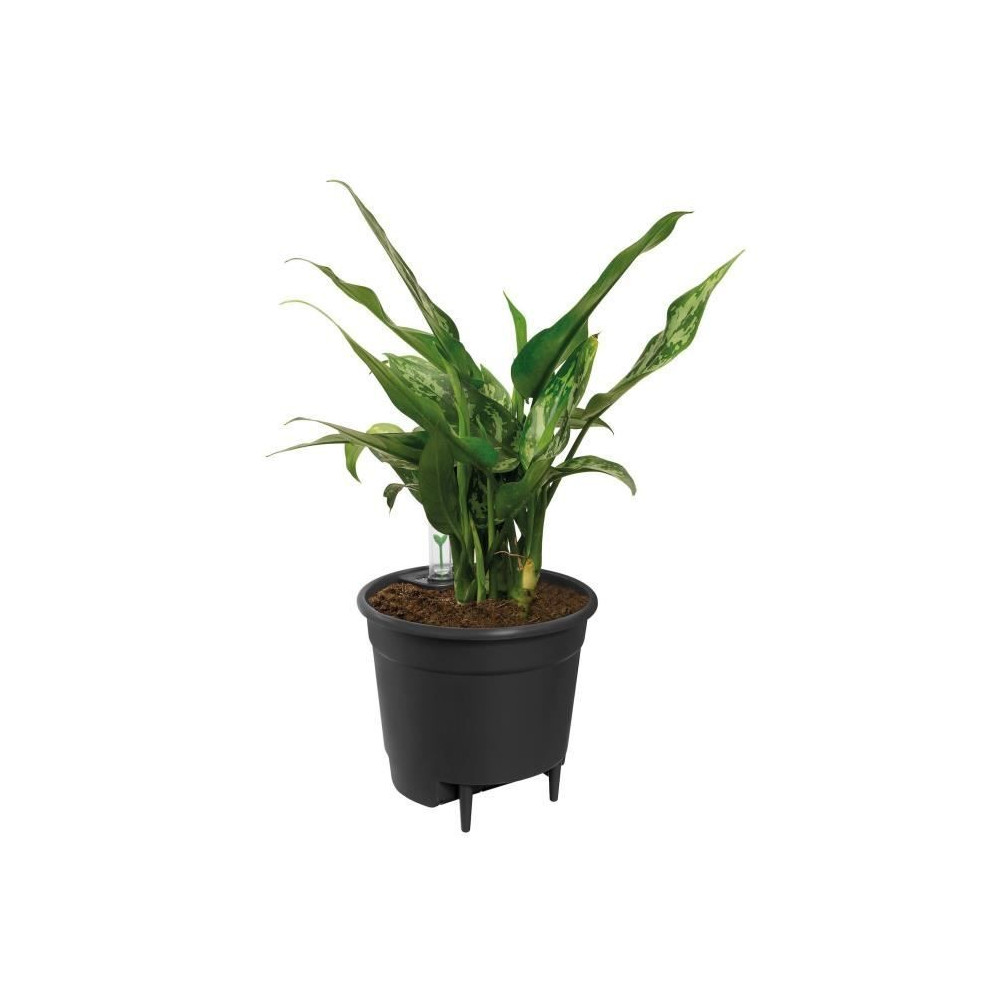 Elho Self-watering Insert Pot a fleurs 33 - Noir - Ø 33 x H 31 cm - i