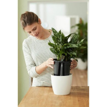 Elho Self-watering Insert Pot a fleurs 33 - Noir - Ø 33 x H 31 cm - i