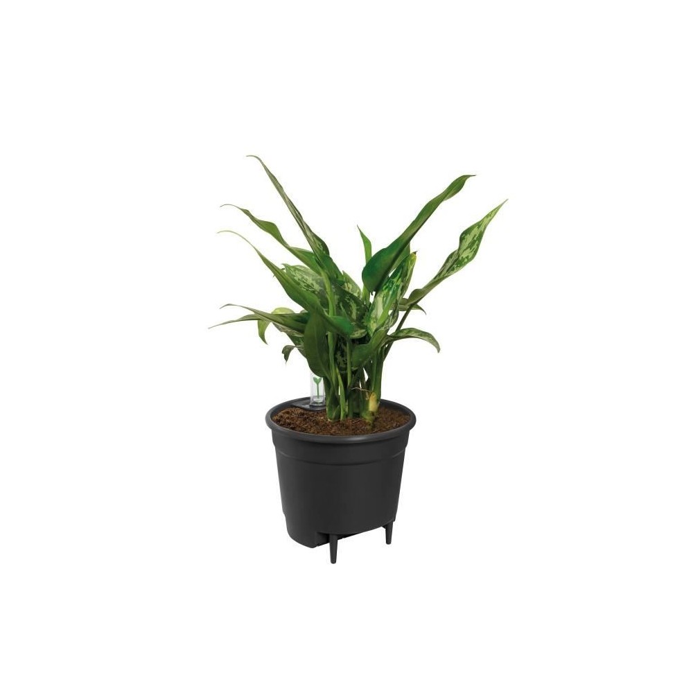 Elho Self-watering Insert Pot a fleurs 44 - Noir - Ø 43 x H 39 cm - i