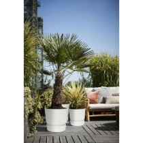 ELHO Pot de fleurs rond Greenville 30 - Extérieur - Ø 29,5 x H 27,8