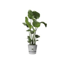 ELHO Pot de fleurs rond Greenville 25 - Extérieur - Ø 24,48 x H 23,3