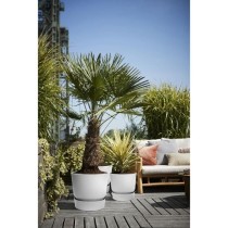 ELHO Pot de fleurs rond Greenville 30 - Extérieur - Ø 29,5 x H 27,8