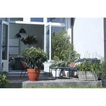 Elho Vibia Campana Bac a fleurs Terrasse 80 - Gris - L 77 x B 35 x H 3