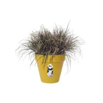 ELHO Pot de fleurs rond Loft Urban 25 - Extérieur - Ø 24,5 x H 22,2