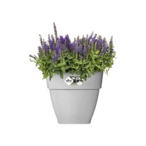 Elho Vibia Campana Bac a fleurs Carré 37 - Gris - Ø 36 x H 36 cm - e